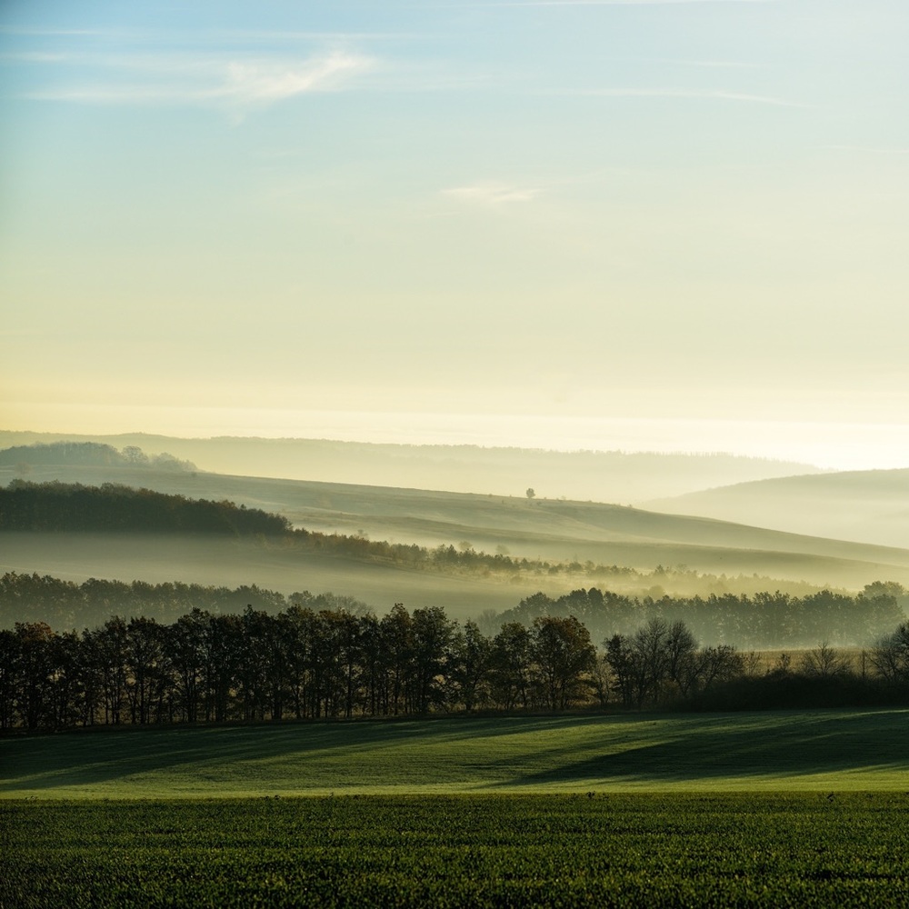 Meet your Posher, Hana